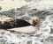 Deadliest 24 hours for Commercial Fishing in Pac NW’s recent memory