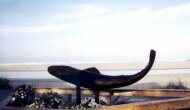 Public Health Advisory Issued For Water at Cannon Beach Public Health Advisory Issued For Water at Cannon Beach